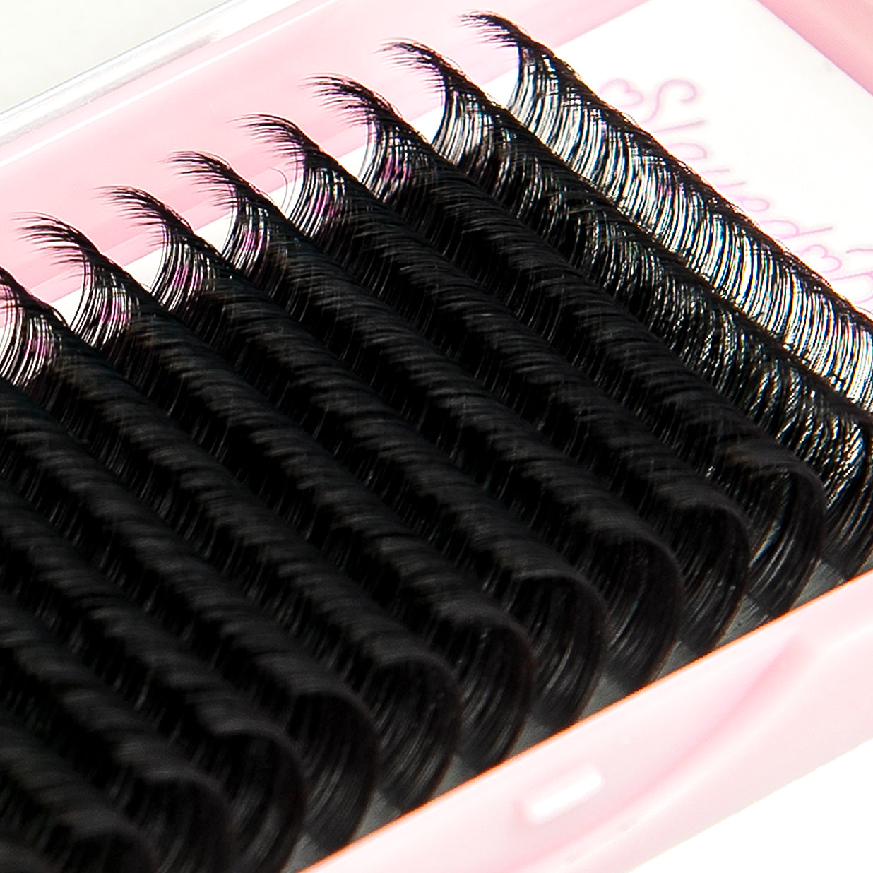 CLASSIC ULTRA-MATTE Black Lash Trays 0.15 Mix